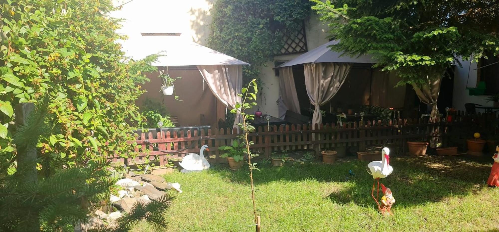 Pensiunea Red Rose Apartments 티미쇼아라 외부 사진