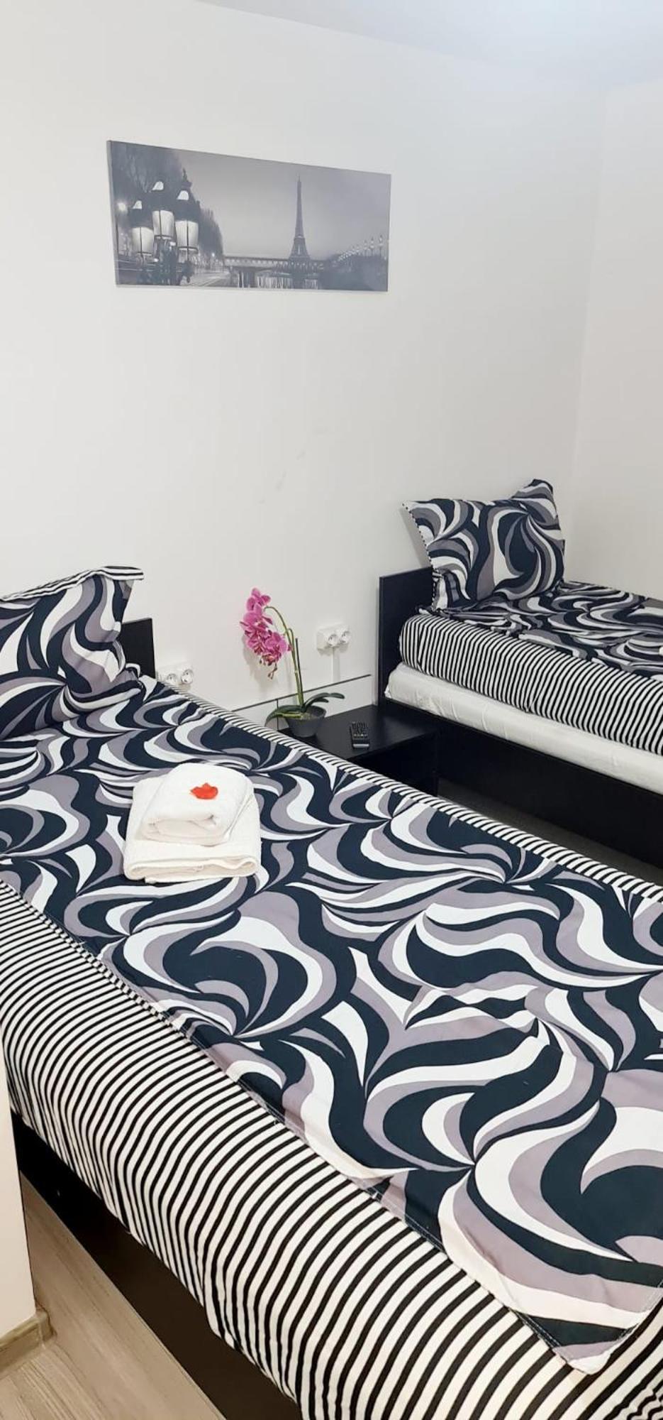 Pensiunea Red Rose Apartments 티미쇼아라 외부 사진