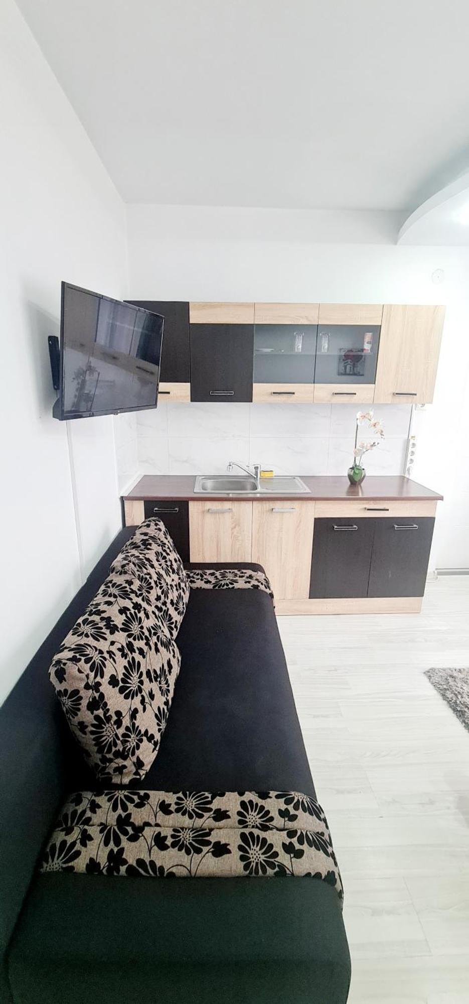 Pensiunea Red Rose Apartments 티미쇼아라 외부 사진
