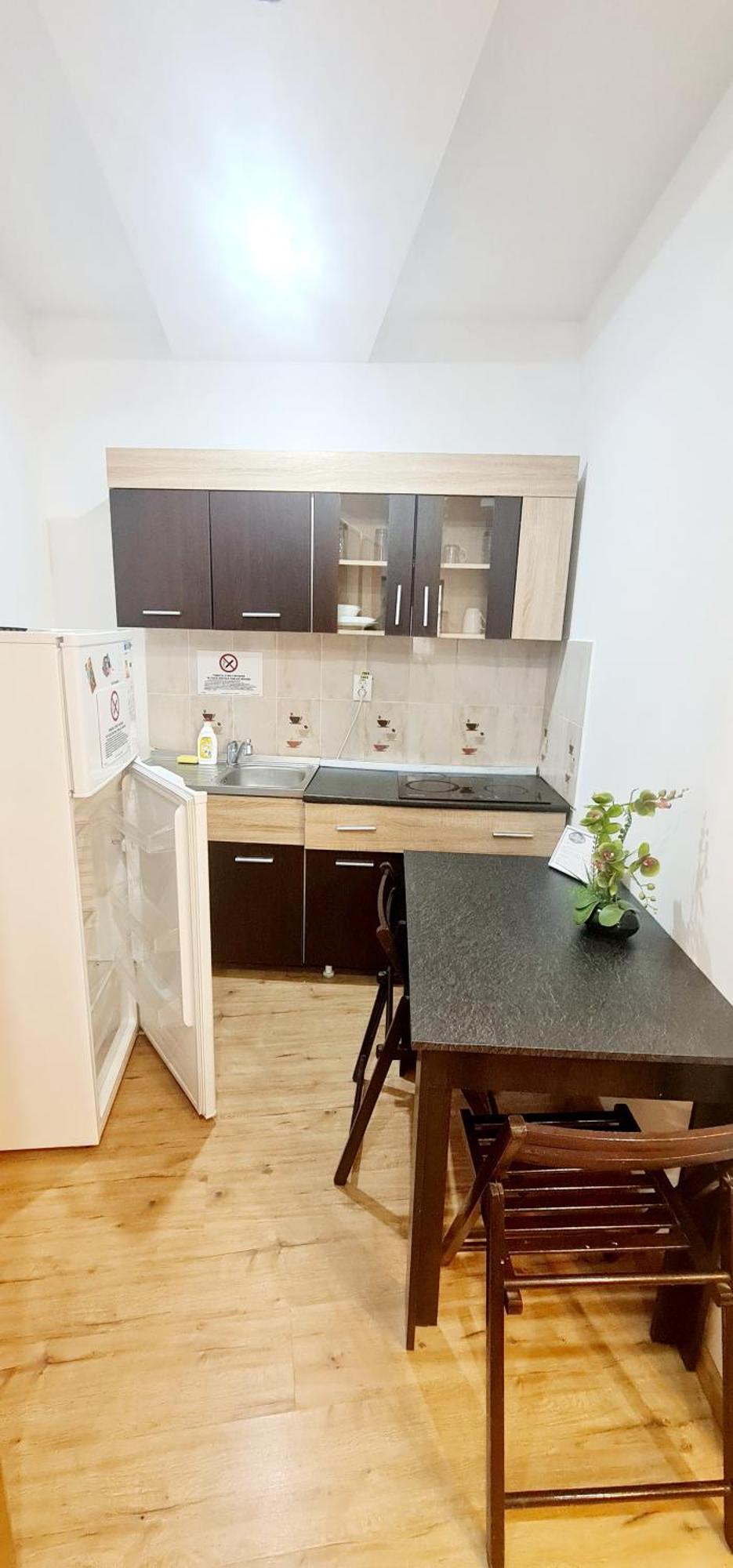 Pensiunea Red Rose Apartments 티미쇼아라 외부 사진