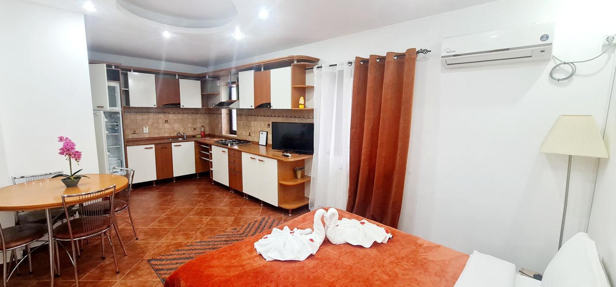 Pensiunea Red Rose Apartments 티미쇼아라 외부 사진